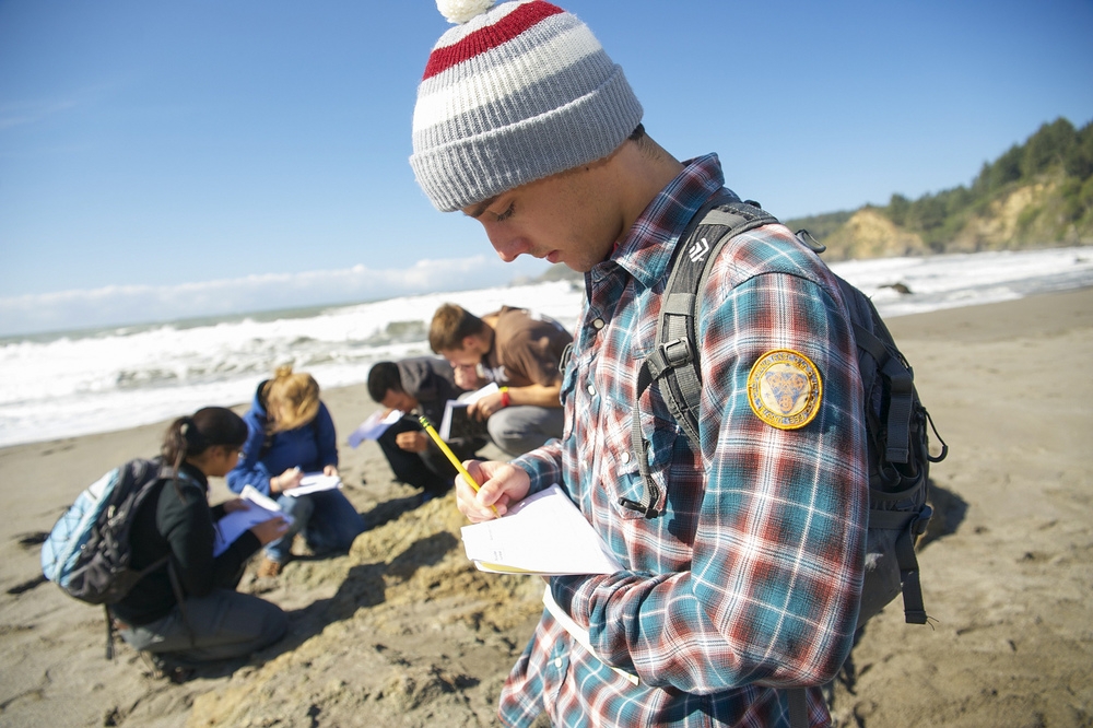 Students studying at the beach with their class